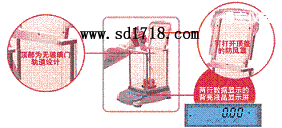 �º����M����ƽ,110g,0.0001g