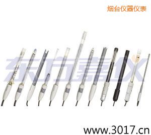 煙臺(tái)pH電極